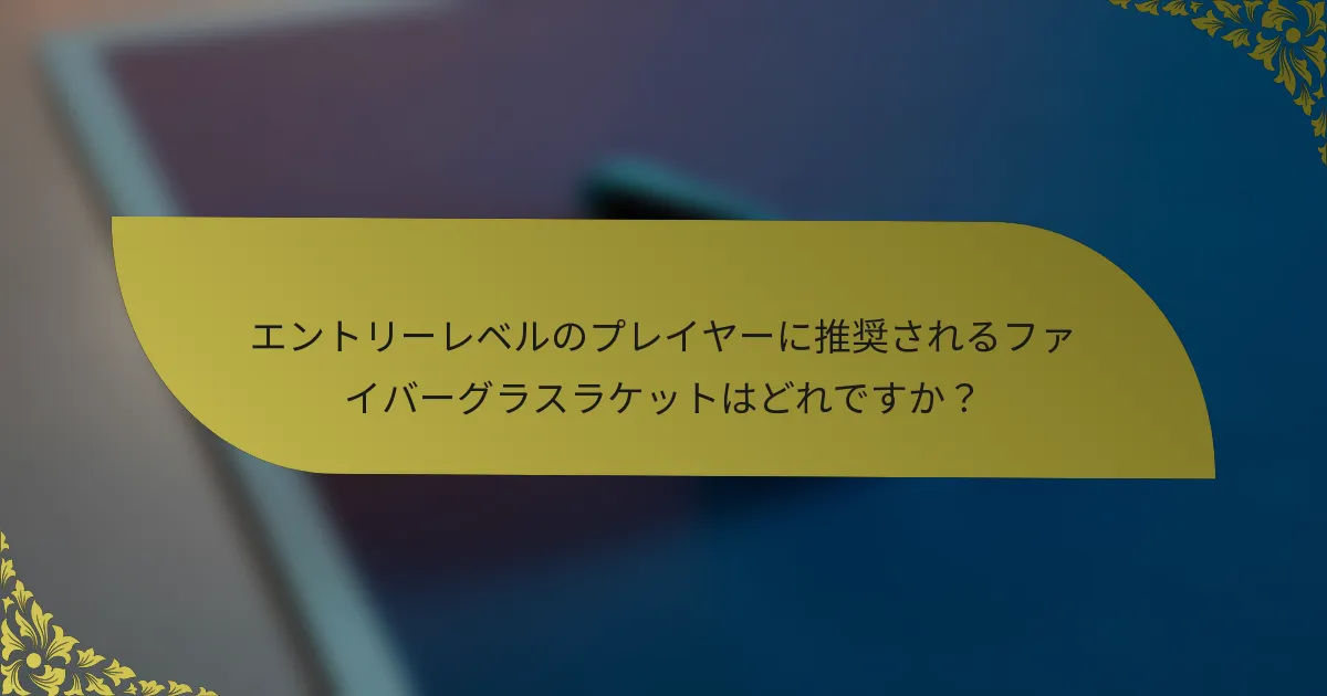エントリーレベルのプレイヤーに推奨されるファイバーグラスラケットはどれですか？
